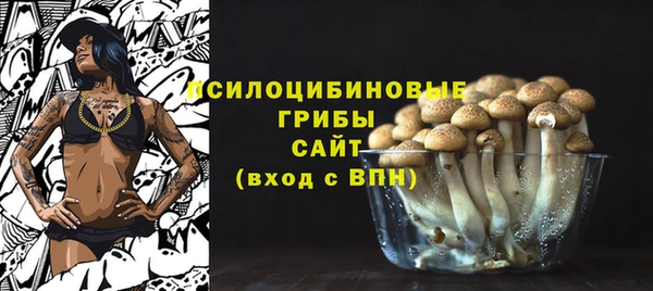 крисы Верхнеуральск